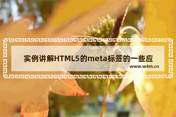 实例讲解HTML5的meta标签的一些应用