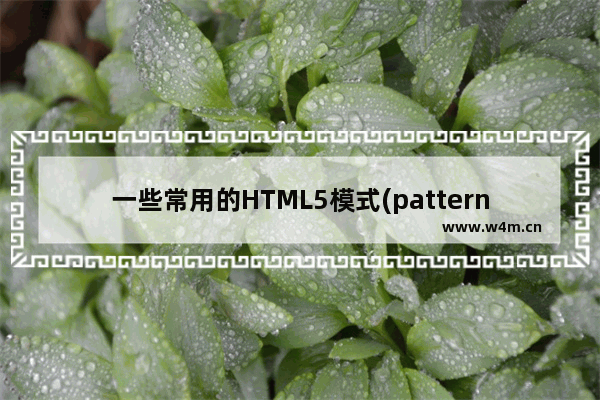 一些常用的HTML5模式(pattern) 总结