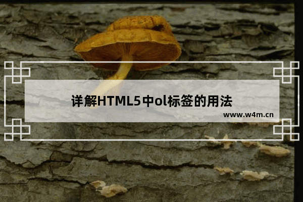 详解HTML5中ol标签的用法