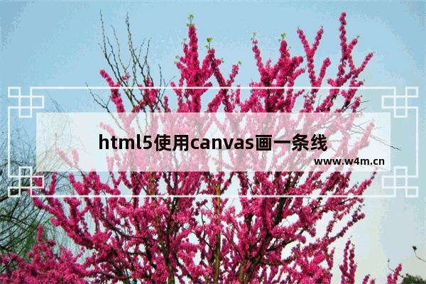 html5使用canvas画一条线