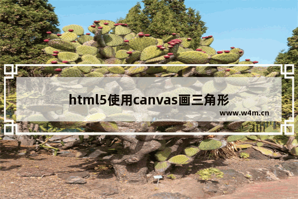 html5使用canvas画三角形