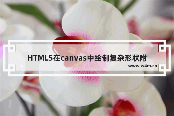 HTML5在canvas中绘制复杂形状附效果截图