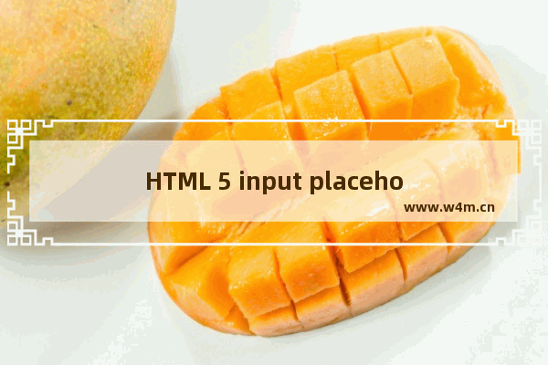 HTML 5 input placeholder 属性如何完美兼任ie