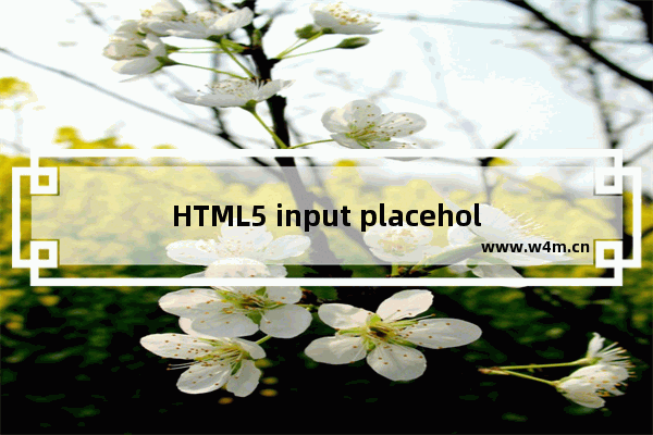 HTML5 input placeholder 颜色修改示例