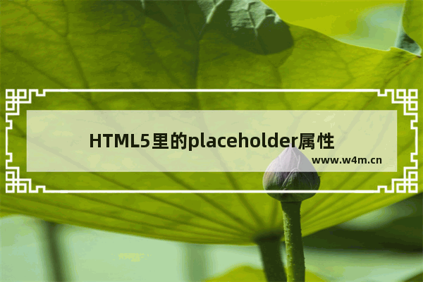 HTML5里的placeholder属性使用实例和美化显示效果的方法