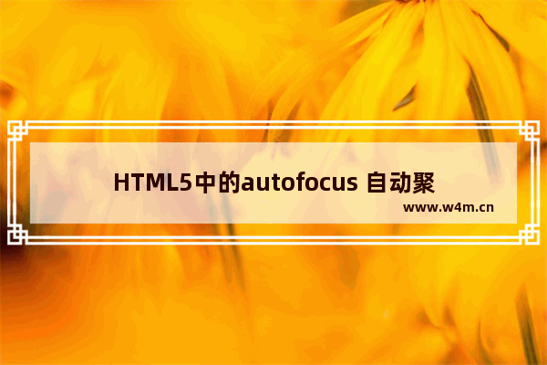 HTML5中的autofocus 自动聚焦属性介绍