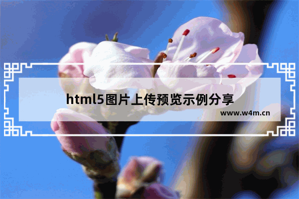 html5图片上传预览示例分享