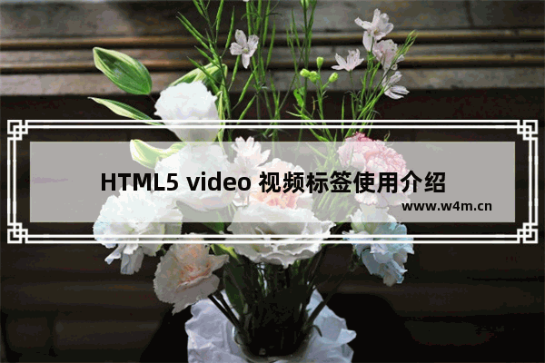 HTML5 video 视频标签使用介绍