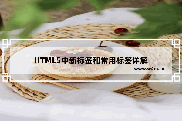 HTML5中新标签和常用标签详解