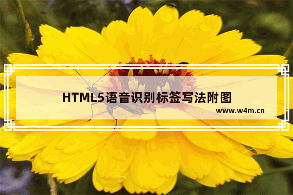 HTML5语音识别标签写法附图