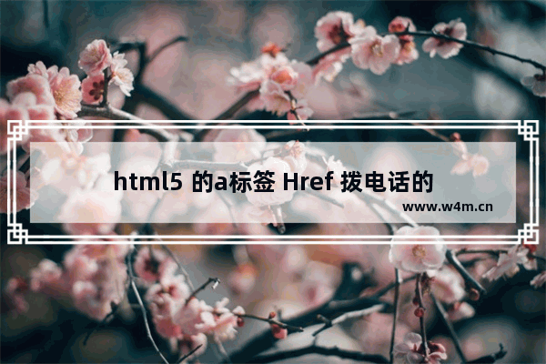 html5 的a标签 Href 拨电话的写法