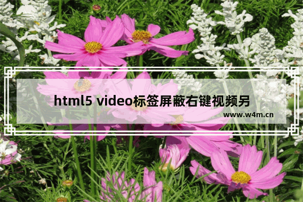 html5 video标签屏蔽右键视频另存为的js代码