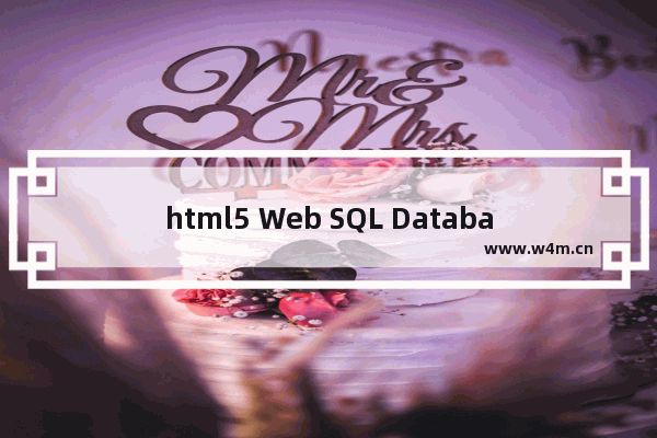 html5 Web SQL Database 之事务处理函数transaction与executeSQL解析