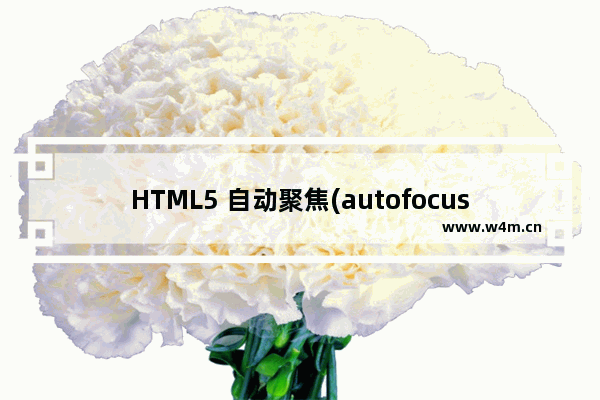 HTML5 自动聚焦(autofocus)属性使用介绍