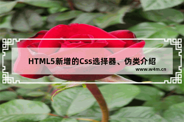 HTML5新增的Css选择器、伪类介绍