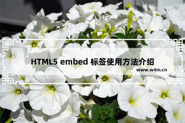 HTML5 embed 标签使用方法介绍