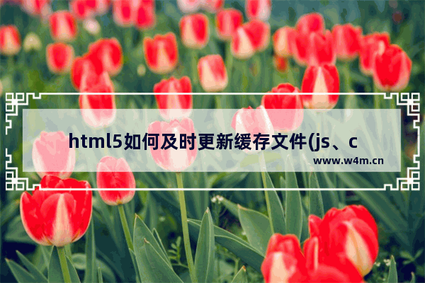 html5如何及时更新缓存文件(js、css或图片)