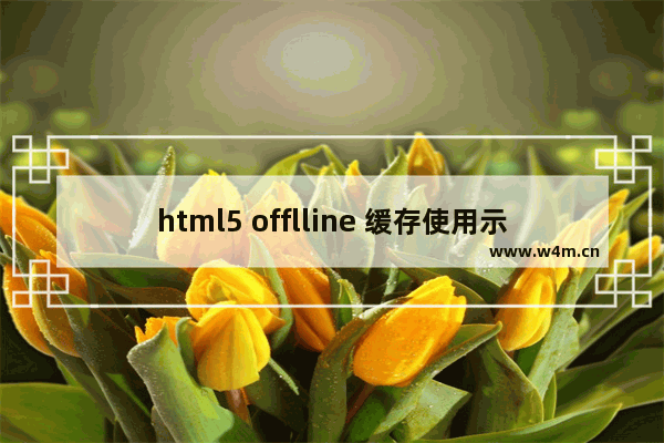 html5 offlline 缓存使用示例