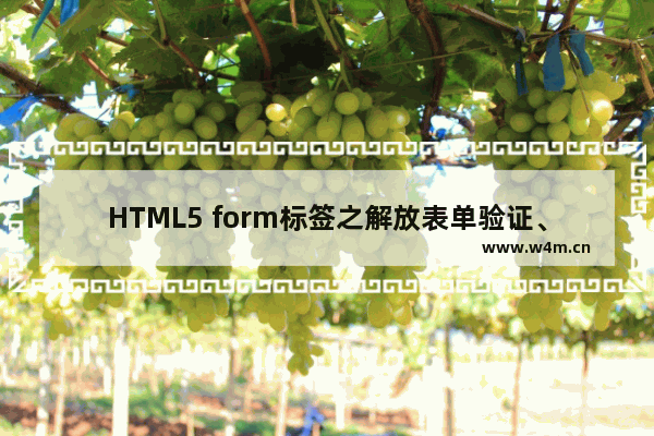 HTML5 form标签之解放表单验证、增加文件上传、集成拖放的使用方法