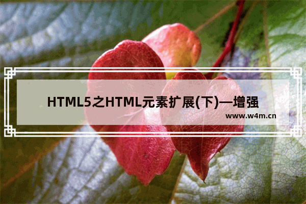 HTML5之HTML元素扩展(下)—增强的Form表单元素值得关注