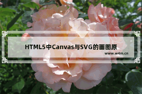 HTML5中Canvas与SVG的画图原理比较