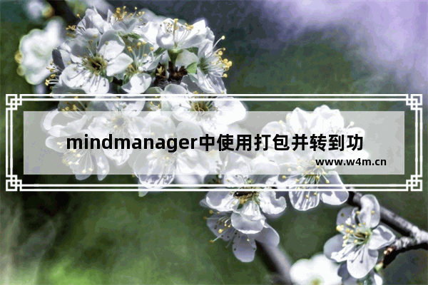 mindmanager中使用打包并转到功能的具体过程介绍