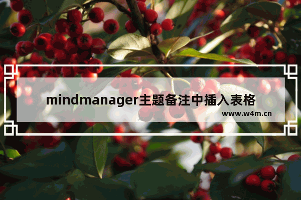 mindmanager主题备注中插入表格的操作方法