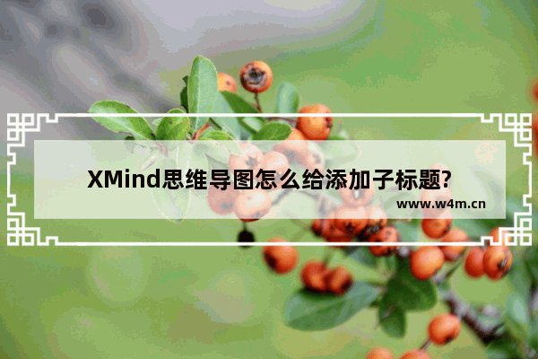 XMind思维导图怎么给添加子标题?