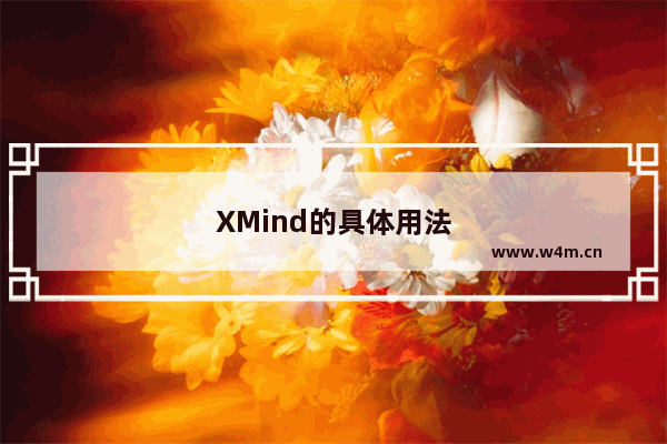 XMind的具体用法