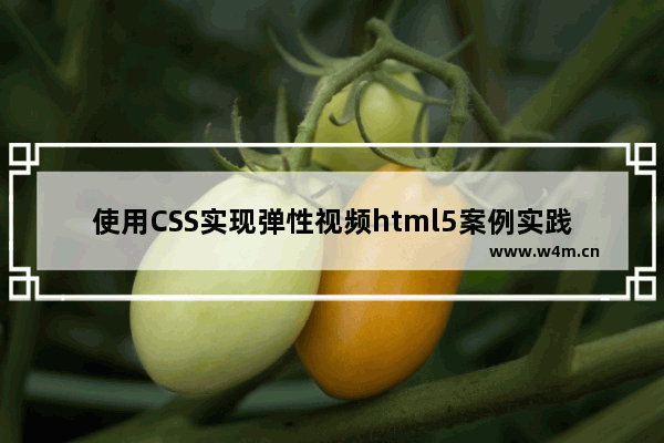 使用CSS实现弹性视频html5案例实践