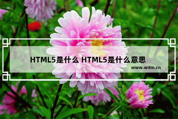 HTML5是什么 HTML5是什么意思 HTML5简介