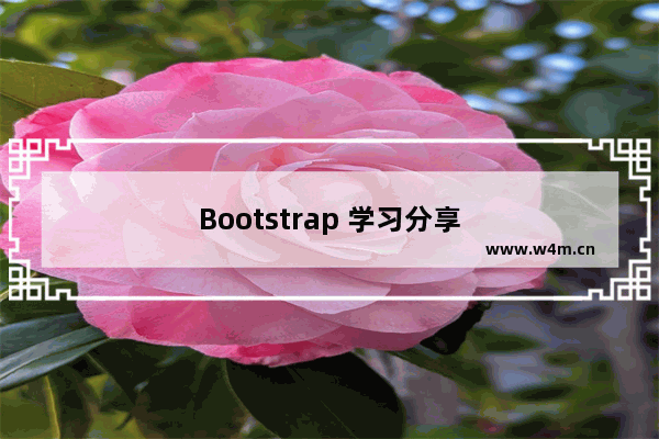 Bootstrap 学习分享