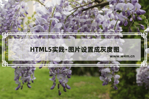 HTML5实践-图片设置成灰度图