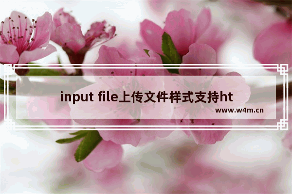 input file上传文件样式支持html5的浏览器解决方案