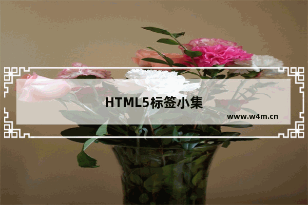 HTML5标签小集