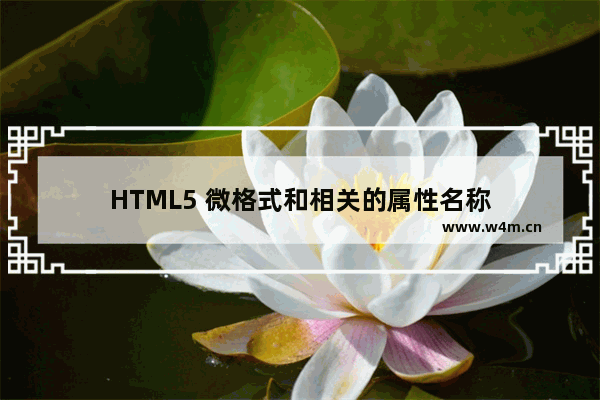 HTML5 微格式和相关的属性名称