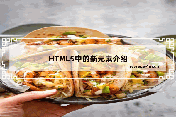 HTML5中的新元素介绍