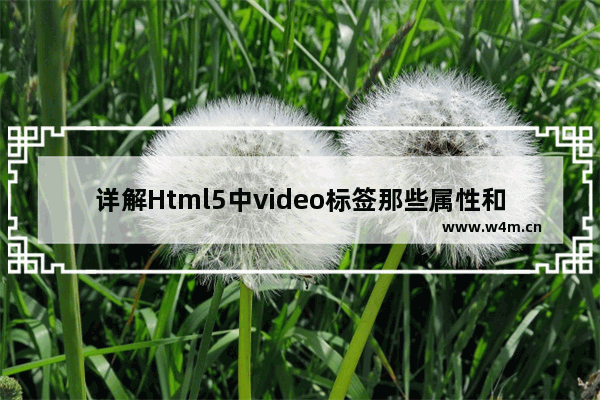 详解Html5中video标签那些属性和方法