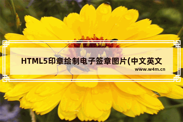 HTML5印章绘制电子签章图片(中文英文椭圆章、中文英文椭圆印章)