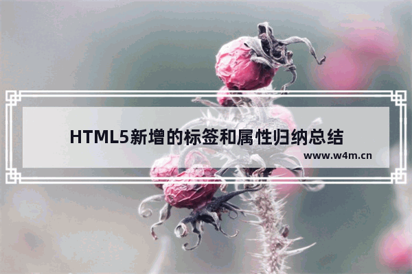 HTML5新增的标签和属性归纳总结