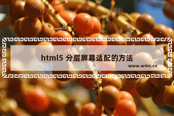 html5 分层屏幕适配的方法