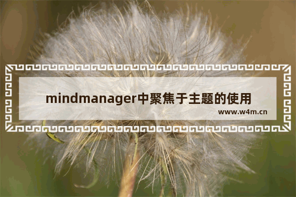 mindmanager中聚焦于主题的使用详解