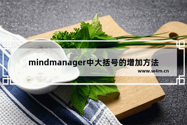 mindmanager中大括号的增加方法步骤