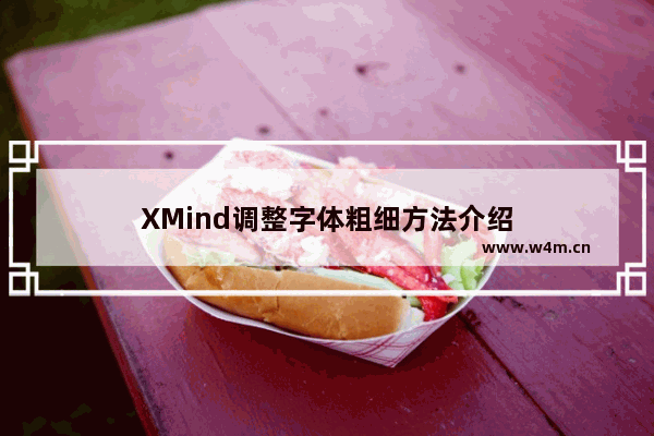 XMind调整字体粗细方法介绍