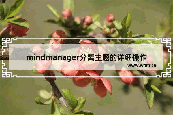 mindmanager分离主题的详细操作教程