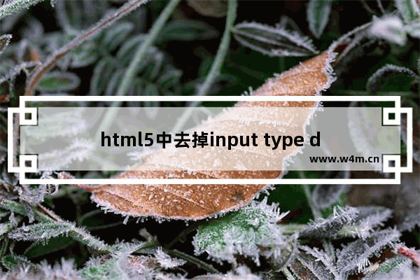 html5中去掉input type date默认样式的方法