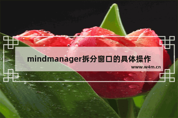 mindmanager拆分窗口的具体操作方法