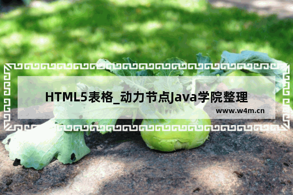 HTML5表格_动力节点Java学院整理