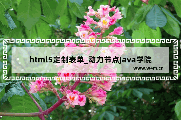 html5定制表单_动力节点Java学院整理