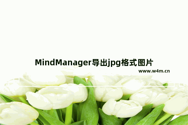 MindManager导出jpg格式图片的操作教程